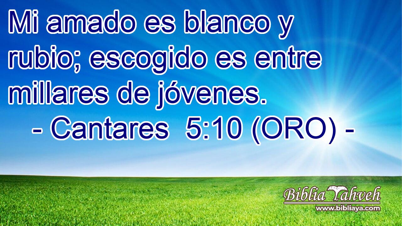  Mi amado es blanco y rubio; escogido es entre millares de jóvenes. 