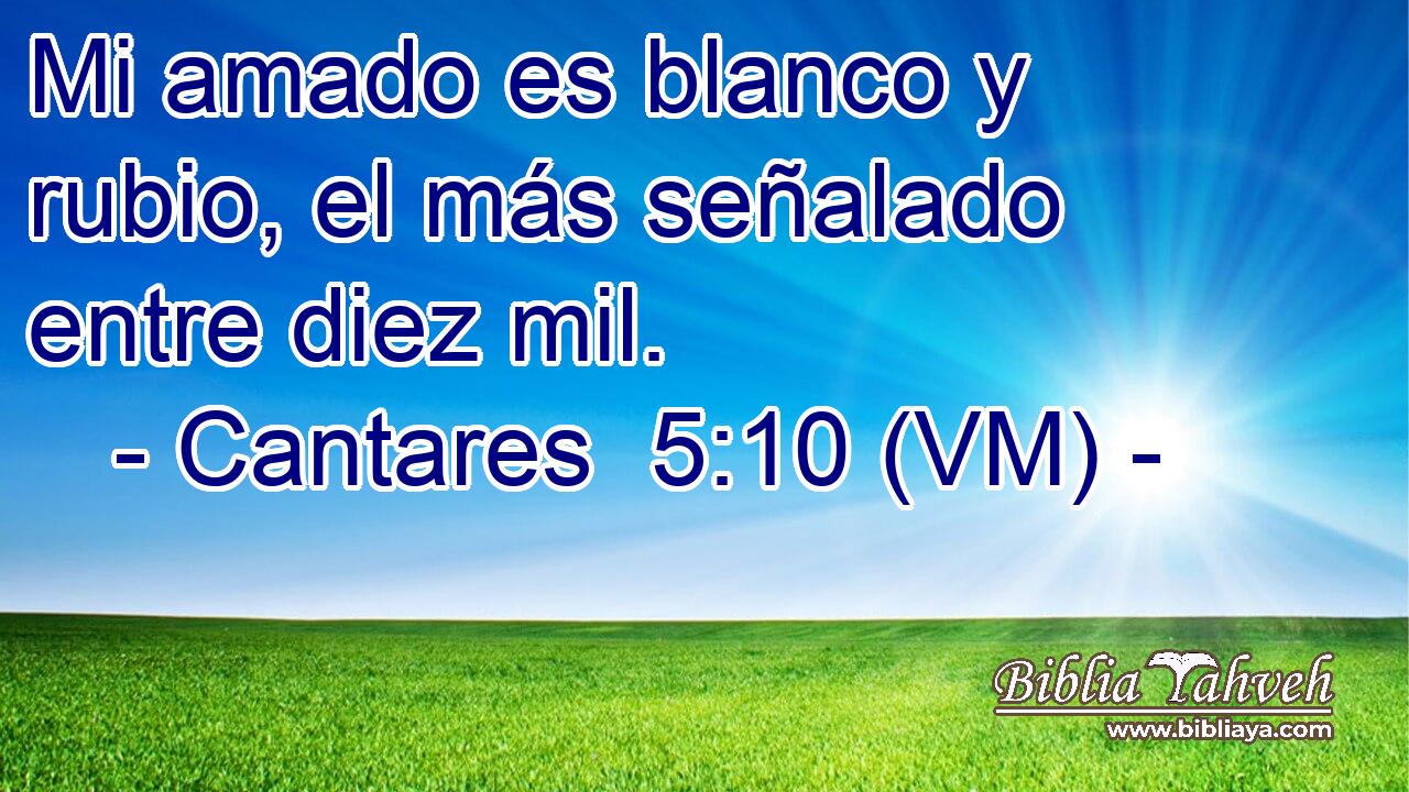  Mi amado es blanco y rubio, el más señalado entre diez mil. 