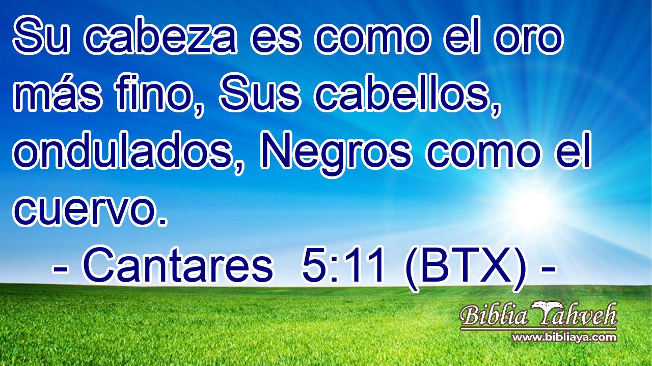 Su cabeza es como el oro más fino, Sus cabellos, ondulados, Negros como el cuervo.