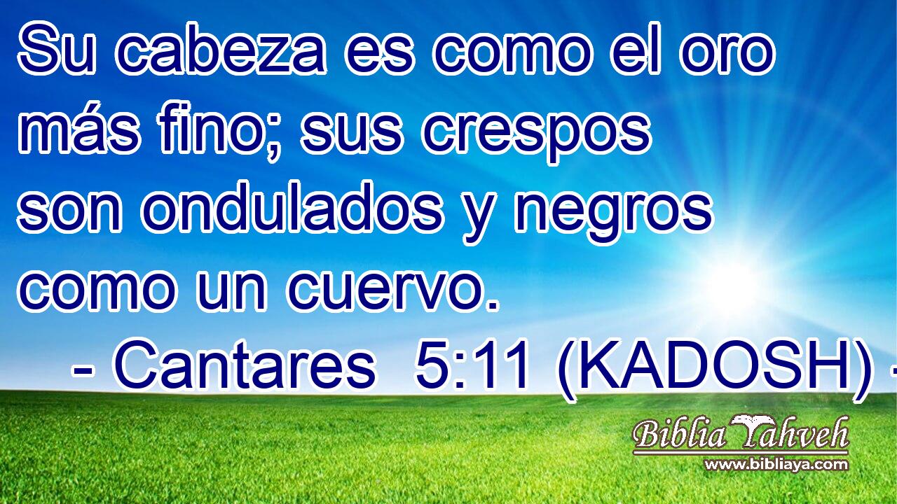 Su cabeza es como el oro más fino; sus crespos son ondulados y negros como un cuervo. 
