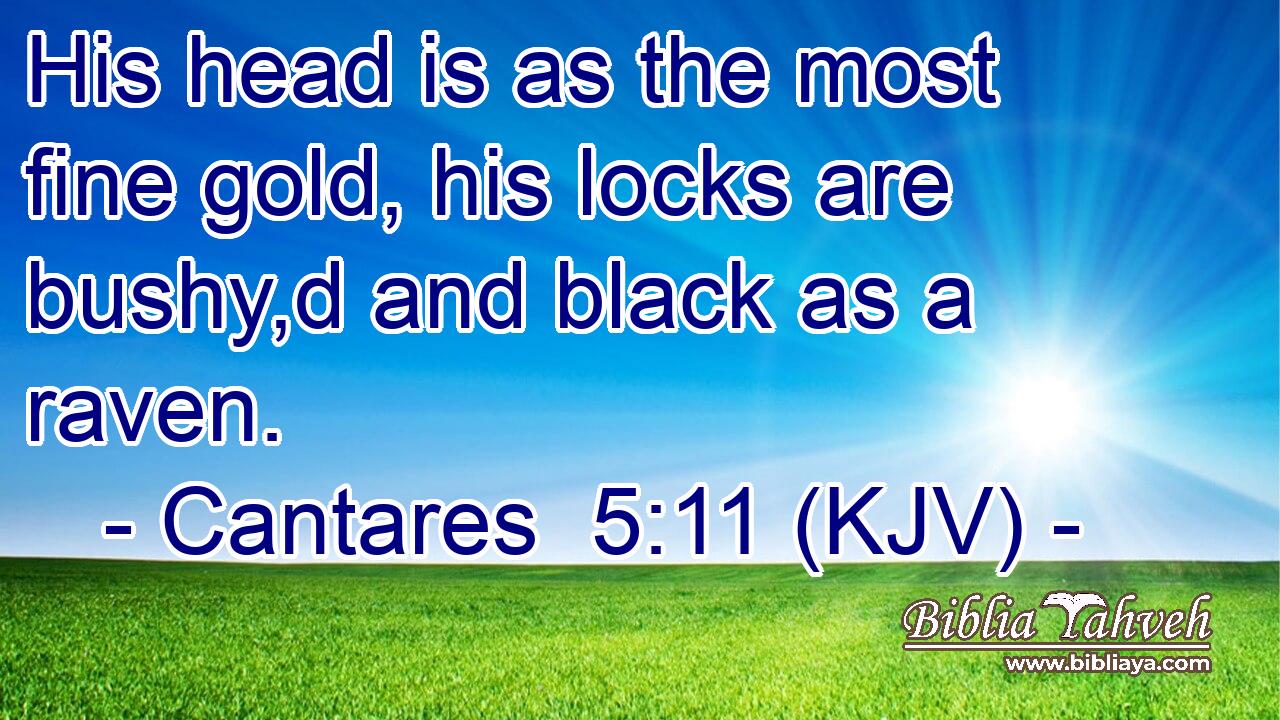 His head is as the most fine gold, his locks are bushy,d and black as a raven.