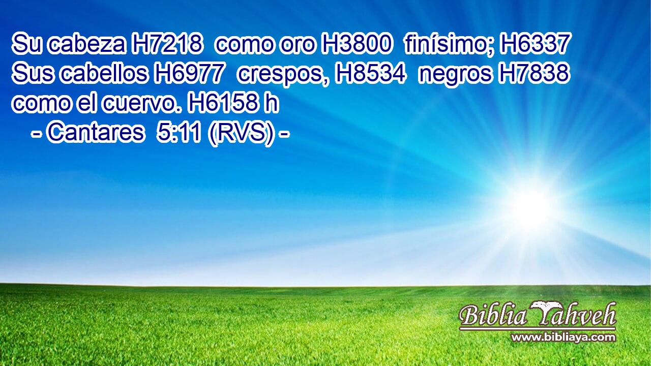 Su cabeza H7218  como oro H3800  finísimo; H6337  Sus cabellos H6977  crespos, H8534  negros H7838  como el cuervo. H6158 h 