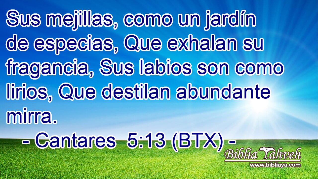 Sus mejillas, como un jardín de especias, Que exhalan su fragancia, Sus labios son como lirios, Que destilan abundante mirra.