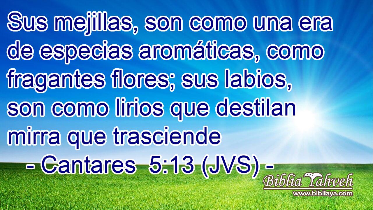Sus mejillas, son como una era de especias aromáticas, como fragantes flores; sus labios, son como lirios que destilan mirra que trasciende