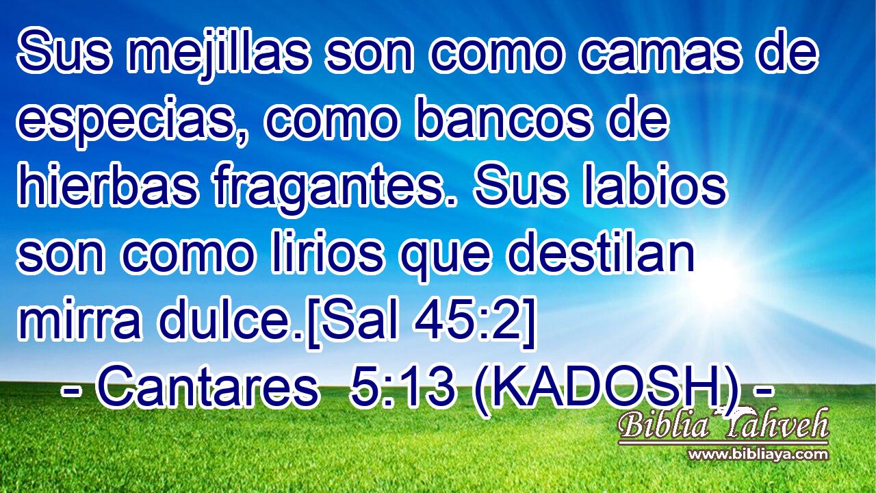  Sus mejillas son como camas de especias, como bancos de hierbas fragantes. Sus labios son como lirios que destilan mirra dulce.[Sal 45:2] 
