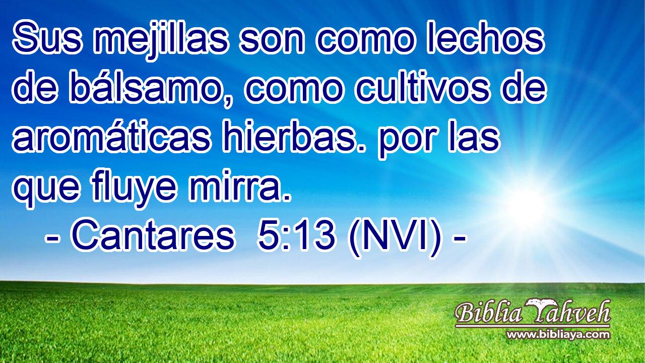  Sus mejillas son como lechos de bálsamo, como cultivos de aromáticas hierbas. por las que fluye mirra. 