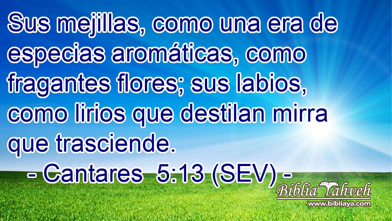 Sus mejillas, como una era de especias aromáticas, como fragantes flores; sus labios, como lirios que destilan mirra que trasciende.