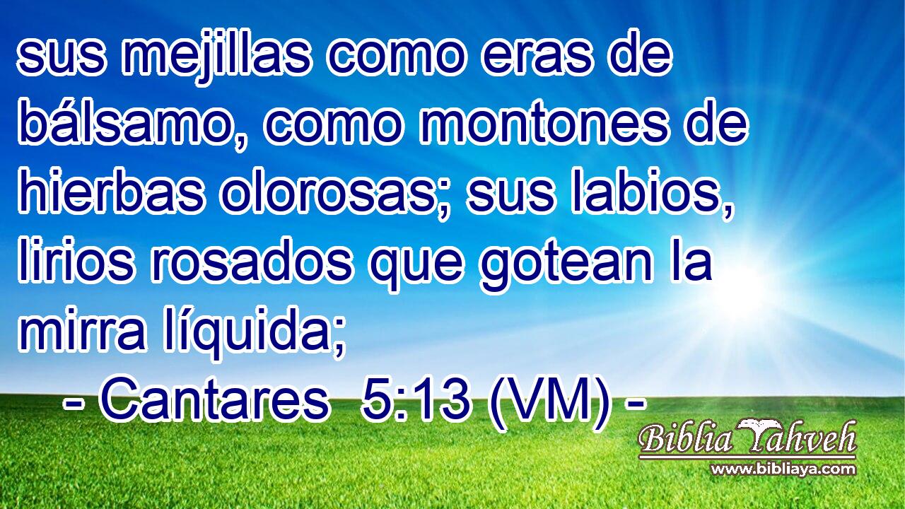  sus mejillas como eras de bálsamo, como montones de hierbas olorosas; sus labios, lirios rosados que gotean la mirra líquida; 