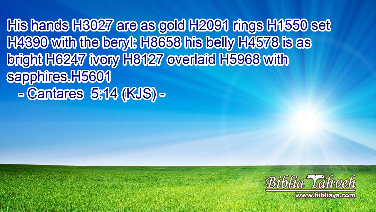 His hands H3027 are as gold H2091 rings H1550 set H4390 with the beryl: H8658 his belly H4578 is as bright H6247 ivory H8127 overlaid H5968 with sapphires.H5601