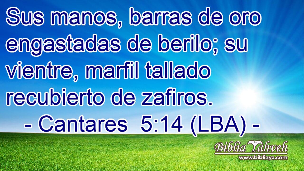 Sus manos, barras de oro engastadas de berilo; su vientre, marfil tallado recubierto de zafiros.