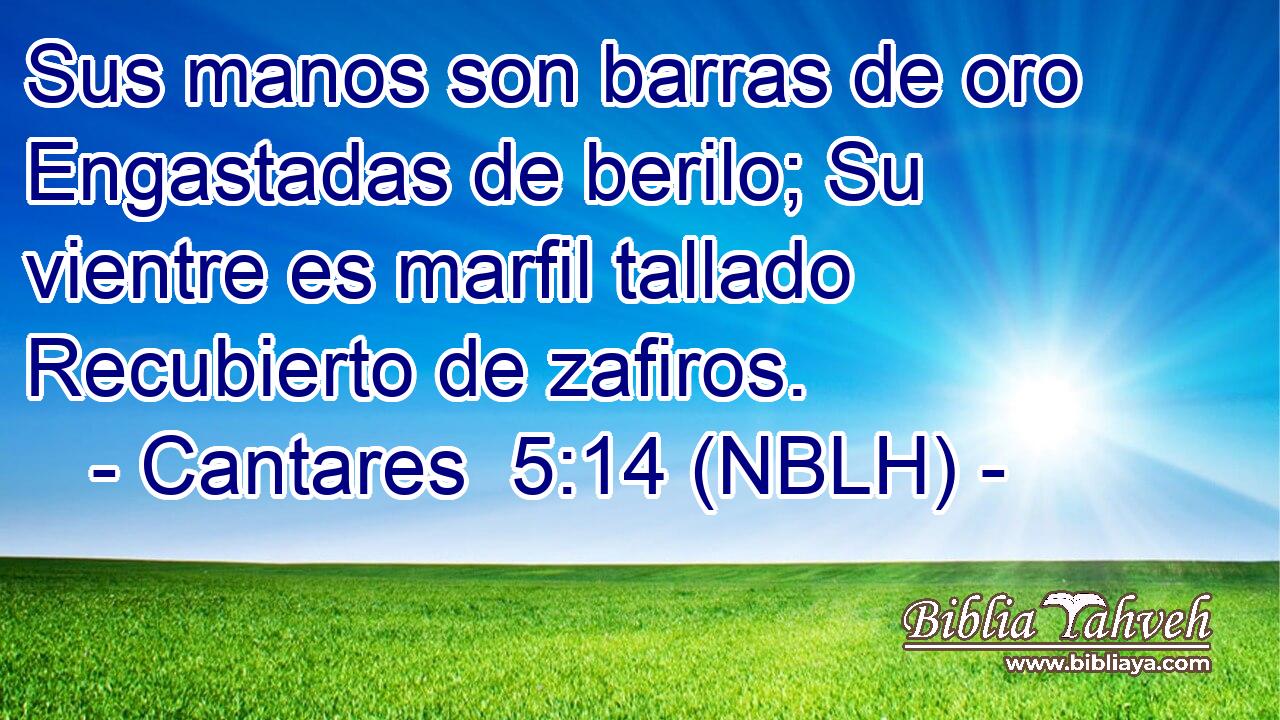  Sus manos son barras de oro Engastadas de berilo; Su vientre es marfil tallado Recubierto de zafiros. 
