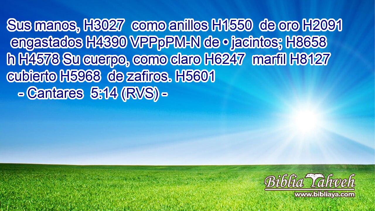 Sus manos, H3027  como anillos H1550  de oro H2091  engastados H4390 VPPpPM-N de • jacintos; H8658 h H4578 Su cuerpo, como claro H6247  marfil H8127  cubierto H5968  de zafiros. H5601  