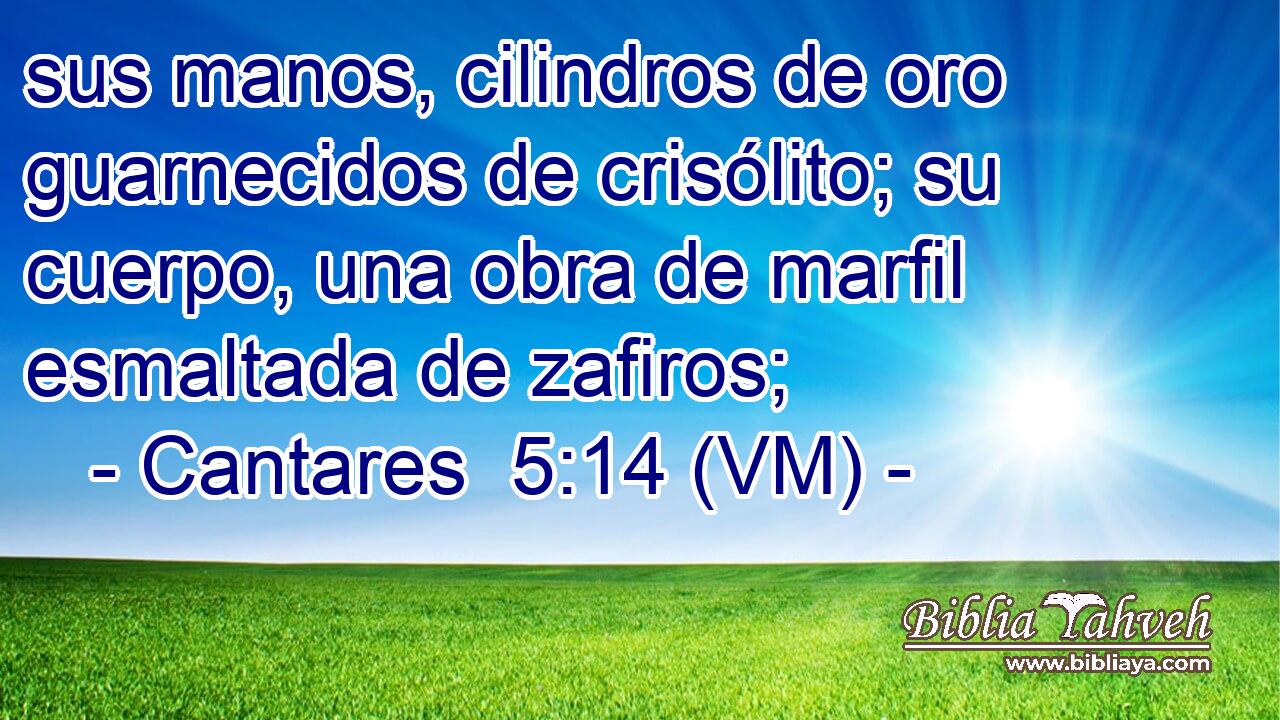  sus manos, cilindros de oro guarnecidos de crisólito; su cuerpo, una obra de marfil esmaltada de zafiros; 