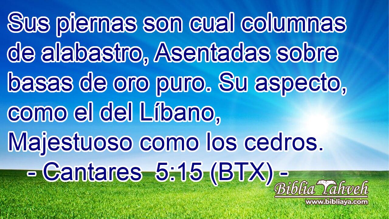Sus piernas son cual columnas de alabastro, Asentadas sobre basas de oro puro. Su aspecto, como el del Líbano, Majestuoso como los cedros.