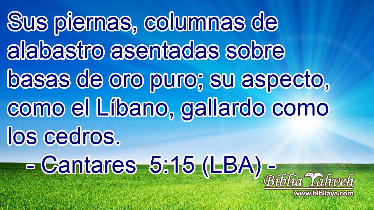 Sus piernas, columnas de alabastro asentadas sobre basas de oro puro; su aspecto, como el Líbano, gallardo como los cedros.