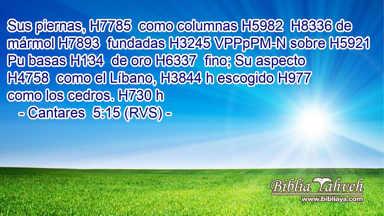 Sus piernas, H7785  como columnas H5982  H8336 de mármol H7893  fundadas H3245 VPPpPM-N sobre H5921 Pu basas H134  de oro H6337  fino; Su aspecto H4758  como el Líbano, H3844 h escogido H977  como los cedros. H730 h 