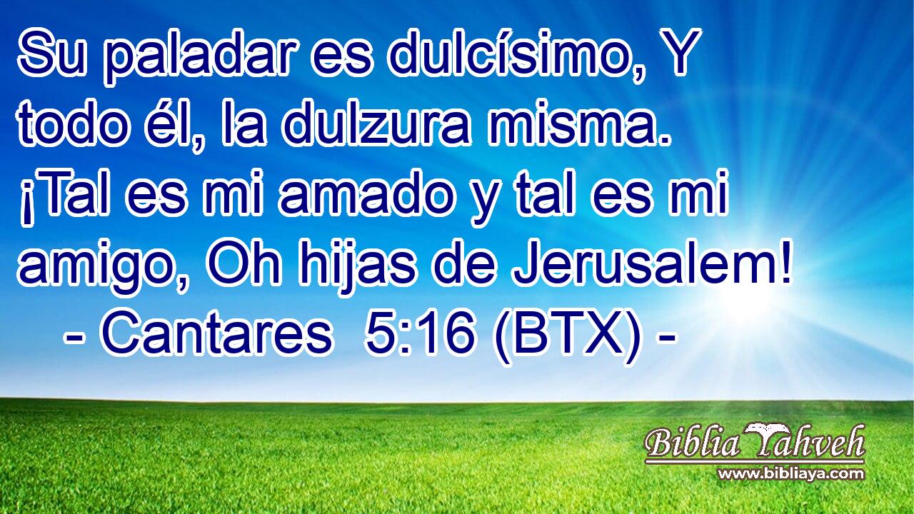 Su paladar es dulcísimo, Y todo él, la dulzura misma. ¡Tal es mi amado y tal es mi amigo, Oh hijas de Jerusalem!