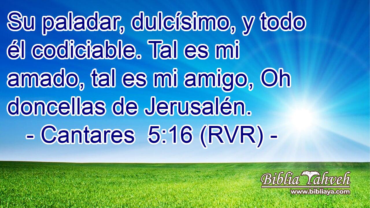 Su paladar, dulcísimo, y todo él codiciable. Tal es mi amado, tal es mi amigo, Oh doncellas de Jerusalén.