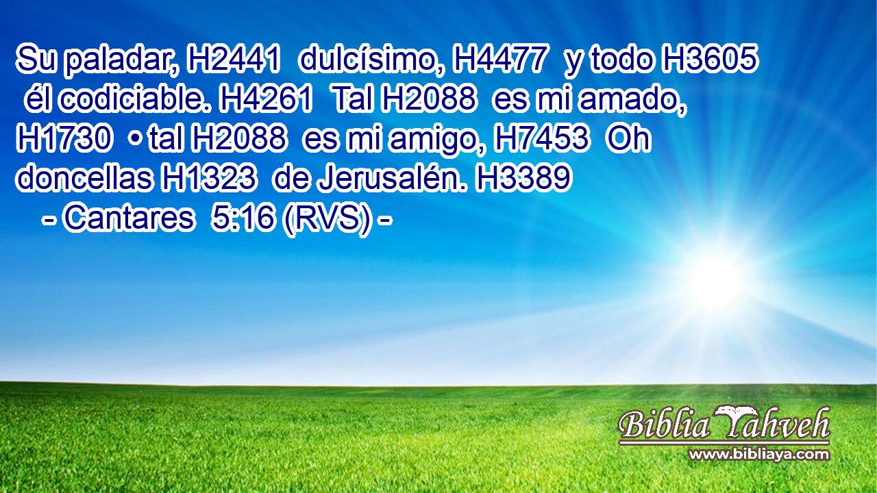 Su paladar, H2441  dulcísimo, H4477  y todo H3605  él codiciable. H4261  Tal H2088  es mi amado, H1730  • tal H2088  es mi amigo, H7453  Oh doncellas H1323  de Jerusalén. H3389  