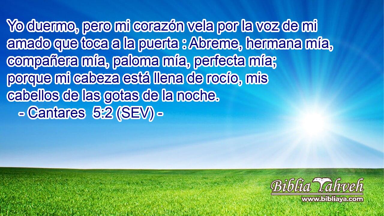 Yo duermo, pero mi corazón vela por la voz de mi amado que toca a la puerta : Abreme, hermana mía, compañera mía, paloma mía, perfecta mía; porque mi cabeza está llena de rocío, mis cabellos de las gotas de la noche.