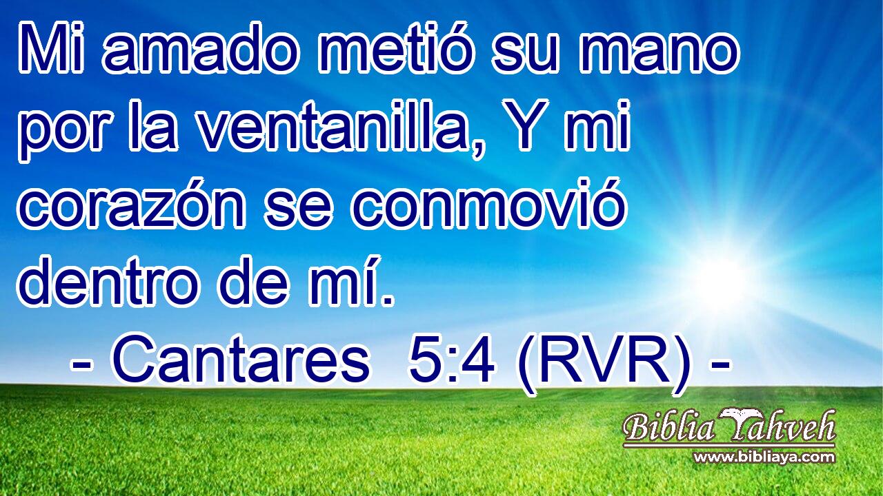 Mi amado metió su mano por la ventanilla, Y mi corazón se conmovió dentro de mí.