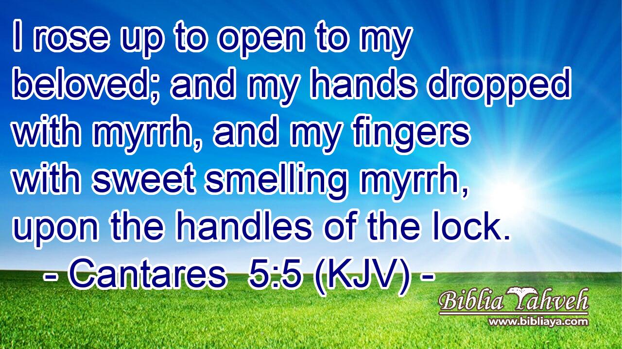 I rose up to open to my beloved; and my hands dropped with myrrh, and my fingers with sweet smelling myrrh, upon the handles of the lock.