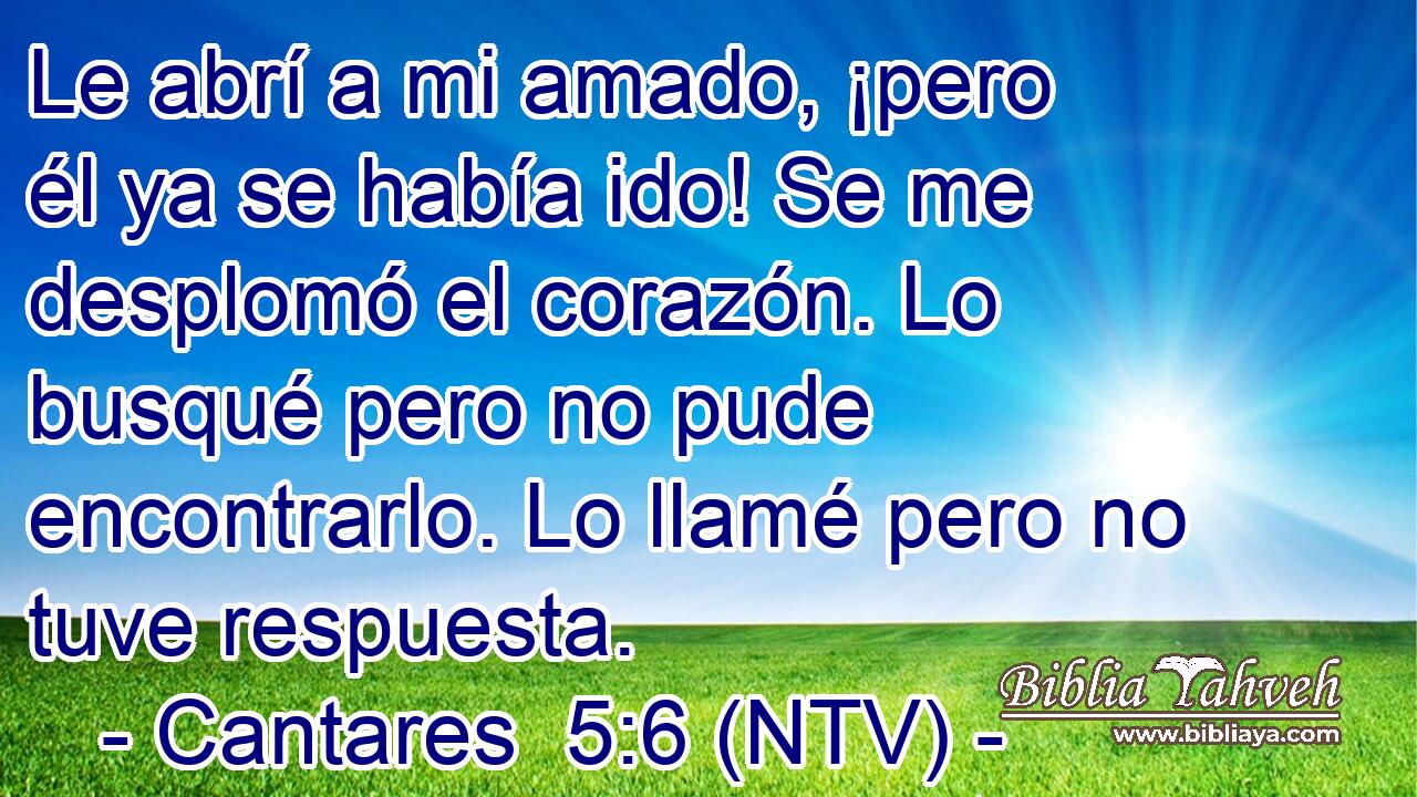 Le abrí a mi amado, ¡pero él ya se había ido! Se me desplomó el corazón. Lo busqué pero no pude encontrarlo. Lo llamé pero no tuve respuesta.