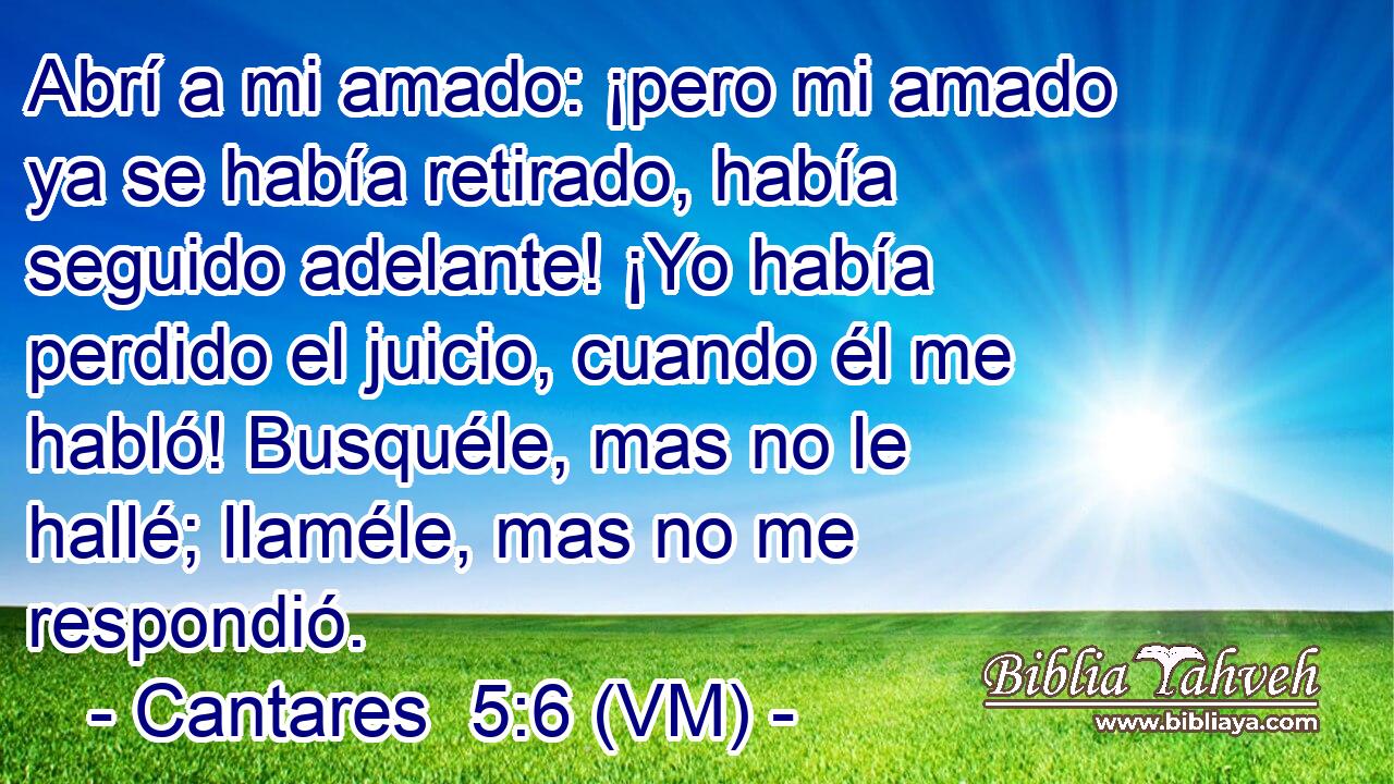  Abrí a mi amado: ¡pero mi amado ya se había retirado, había seguido adelante! ¡Yo había perdido el juicio, cuando él me habló! Busquéle, mas no le hallé; llaméle, mas no me respondió. 