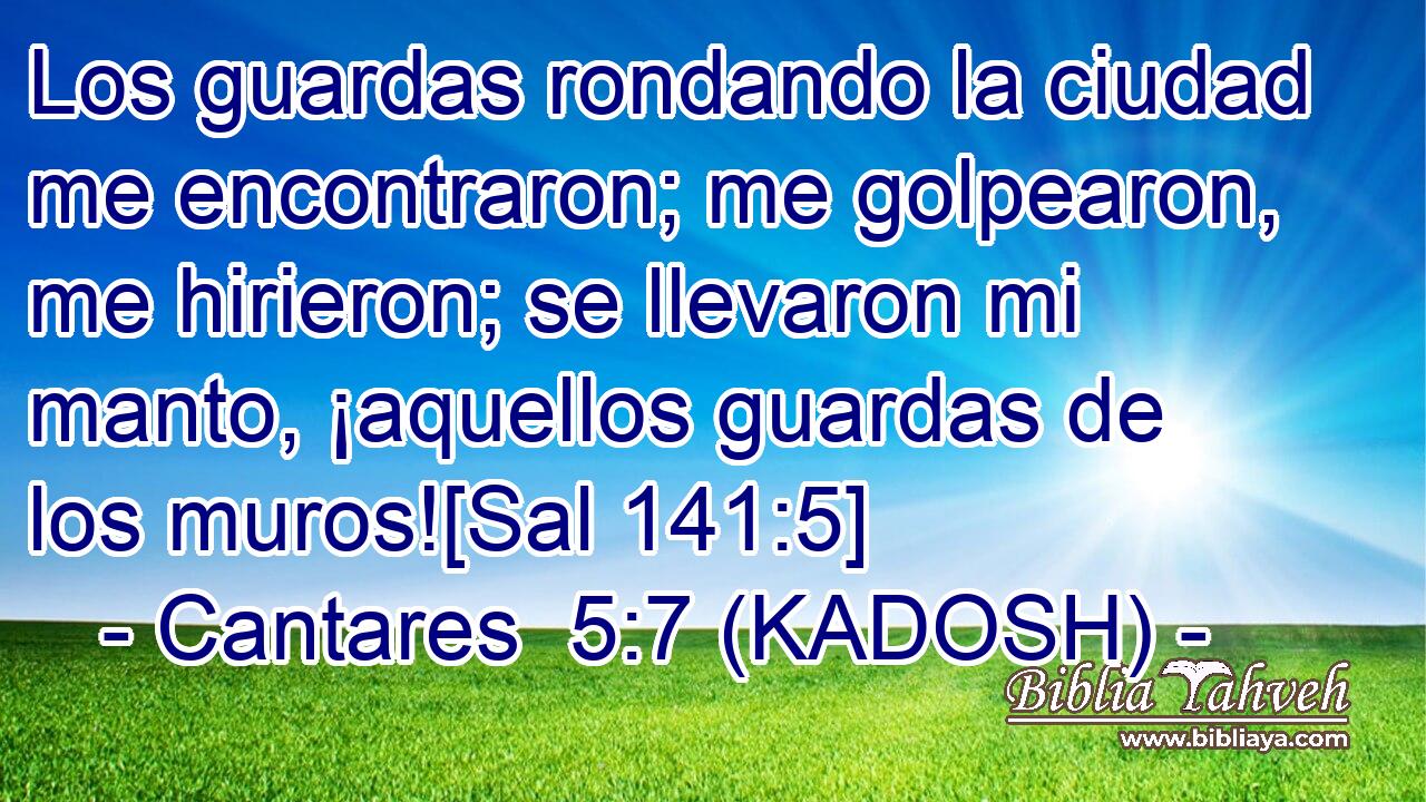  Los guardas rondando la ciudad me encontraron; me golpearon, me hirieron; se llevaron mi manto, ¡aquellos guardas de los muros![Sal 141:5] 