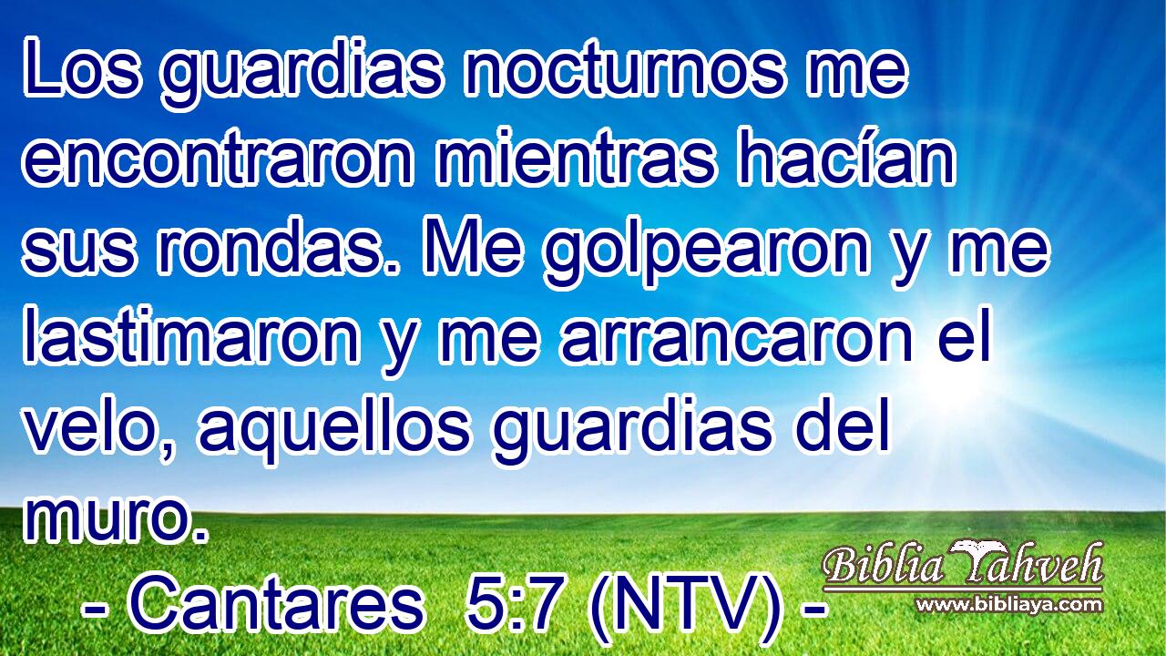 Los guardias nocturnos me encontraron mientras hacían sus rondas. Me golpearon y me lastimaron y me arrancaron el velo, aquellos guardias del muro.