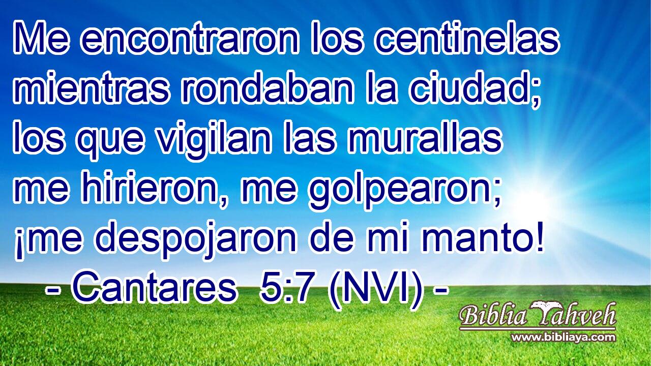  Me encontraron los centinelas mientras rondaban la ciudad; los que vigilan las murallas me hirieron, me golpearon; ¡me despojaron de mi manto! 