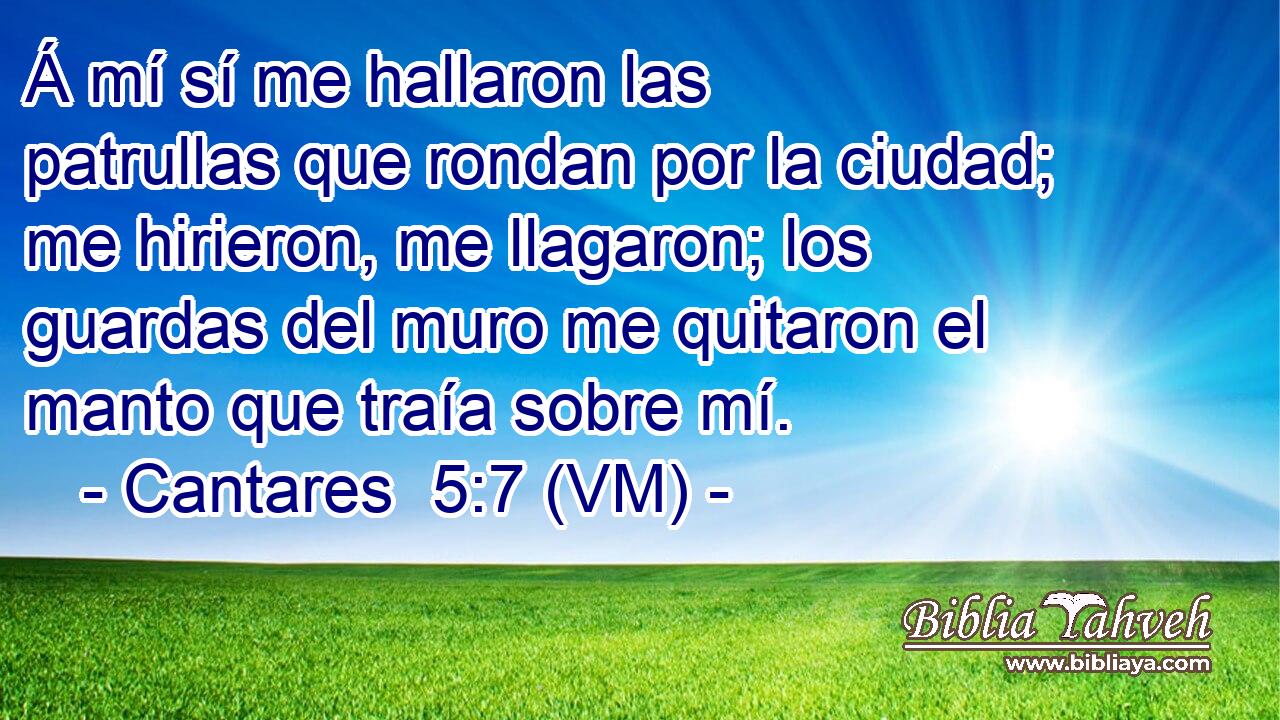  Á mí sí me hallaron las patrullas que rondan por la ciudad; me hirieron, me llagaron; los guardas del muro me quitaron el manto que traía sobre mí. 