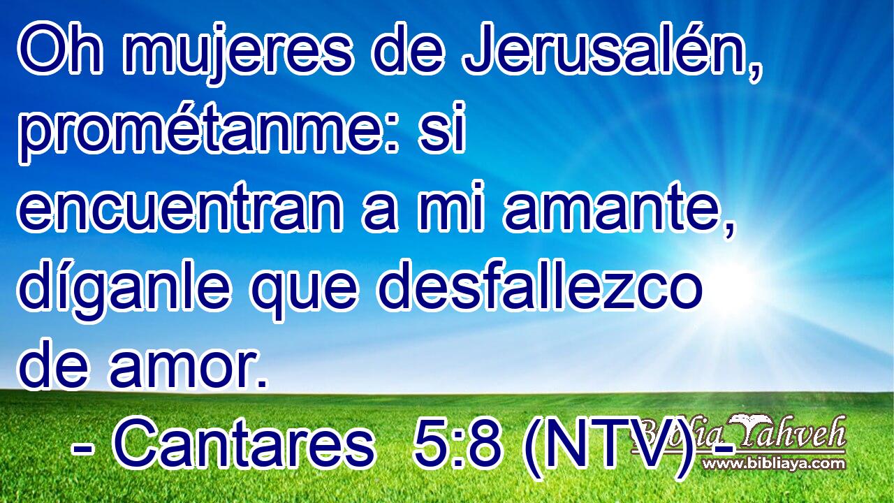 Oh mujeres de Jerusalén, prométanme: si encuentran a mi amante, díganle que desfallezco de amor.