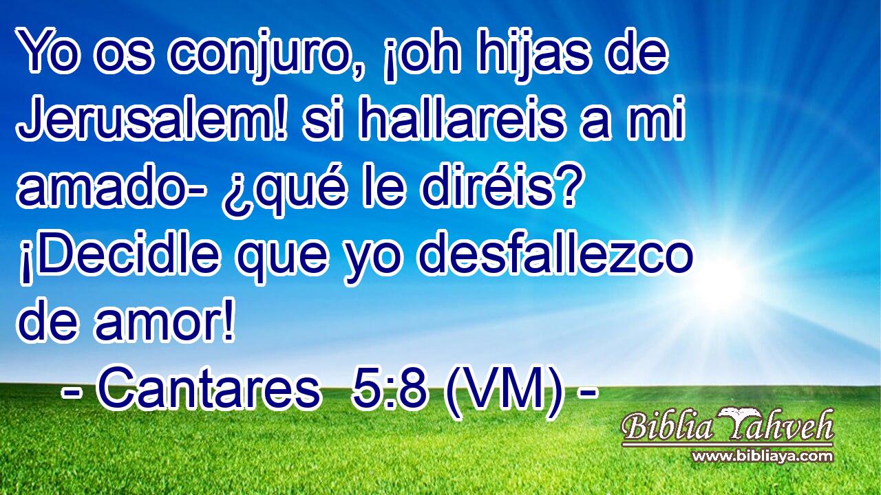  Yo os conjuro, ¡oh hijas de Jerusalem! si hallareis a mi amado- ¿qué le diréis? ¡Decidle que yo desfallezco de amor! 
