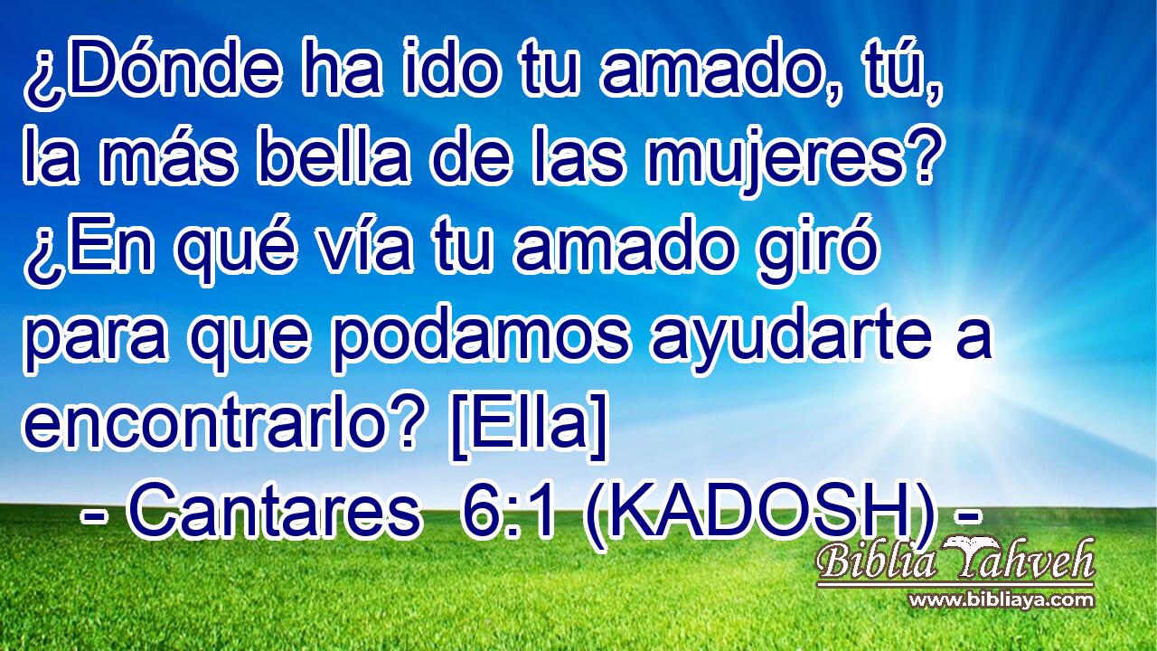  ¿Dónde ha ido tu amado, tú, la más bella de las mujeres? ¿En qué vía tu amado giró para que podamos ayudarte a encontrarlo? [Ella] 