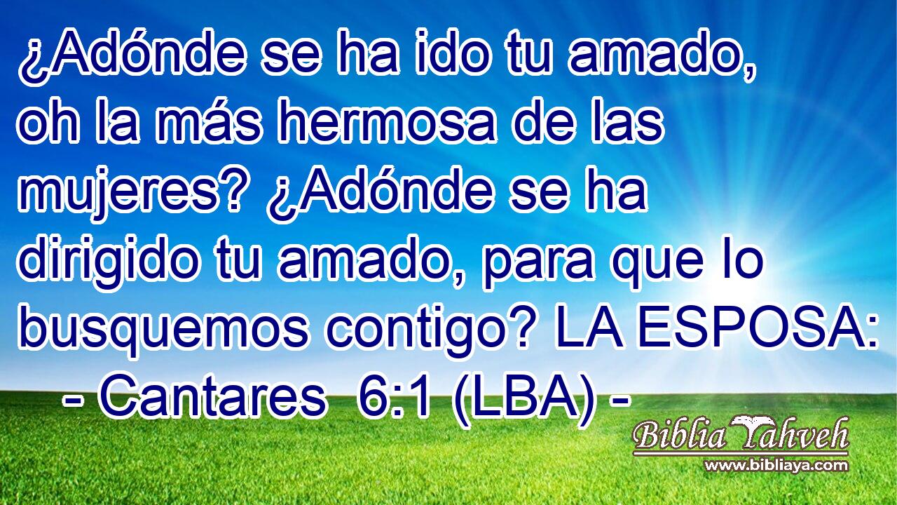 ¿Adónde se ha ido tu amado, oh la más hermosa de las mujeres? ¿Adónde se ha dirigido tu amado, para que lo busquemos contigo? LA ESPOSA: