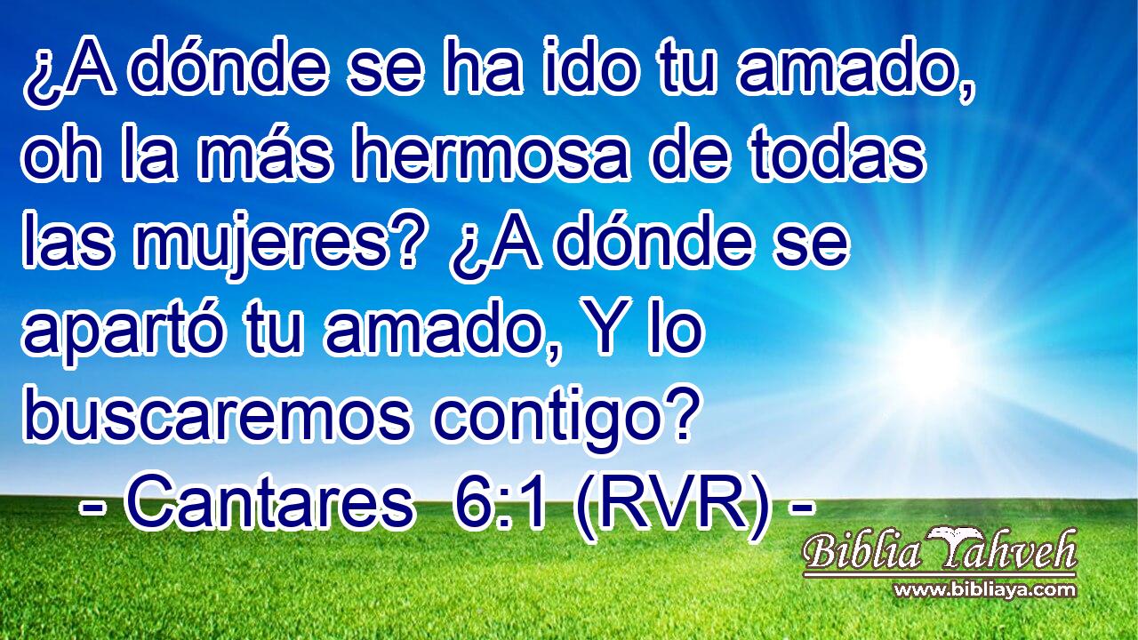 ¿A dónde se ha ido tu amado, oh la más hermosa de todas las mujeres? ¿A dónde se apartó tu amado, Y lo buscaremos contigo?