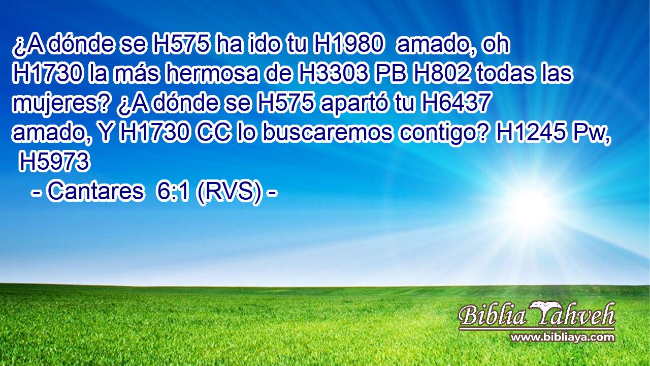 ¿A dónde se H575 ha ido tu H1980  amado, oh H1730 la más hermosa de H3303 PB H802 todas las mujeres? ¿A dónde se H575 apartó tu H6437  amado, Y H1730 CC lo buscaremos contigo? H1245 Pw,  H5973 