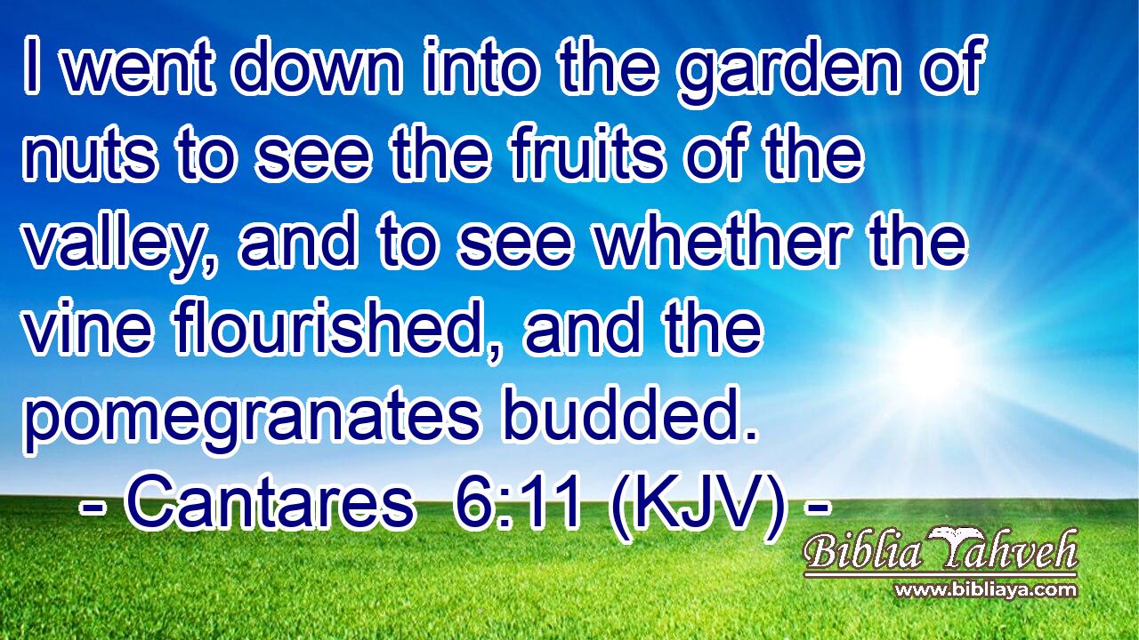 I went down into the garden of nuts to see the fruits of the valley, and to see whether the vine flourished, and the pomegranates budded.