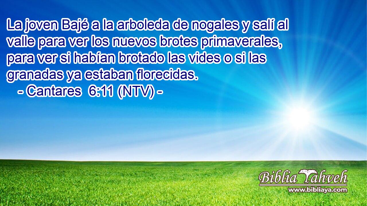 La joven Bajé a la arboleda de nogales y salí al valle para ver los nuevos brotes primaverales, para ver si habían brotado las vides o si las granadas ya estaban florecidas.