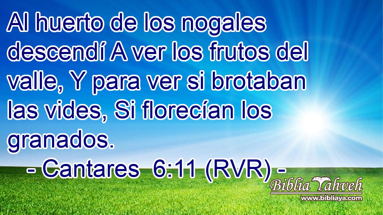 Al huerto de los nogales descendí A ver los frutos del valle, Y para ver si brotaban las vides, Si florecían los granados.