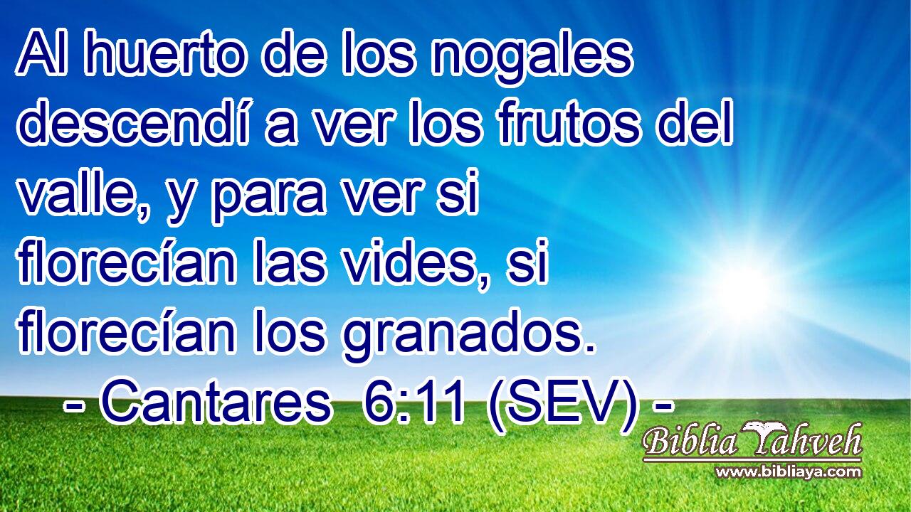 Al huerto de los nogales descendí a ver los frutos del valle, y para ver si florecían las vides, si florecían los granados.