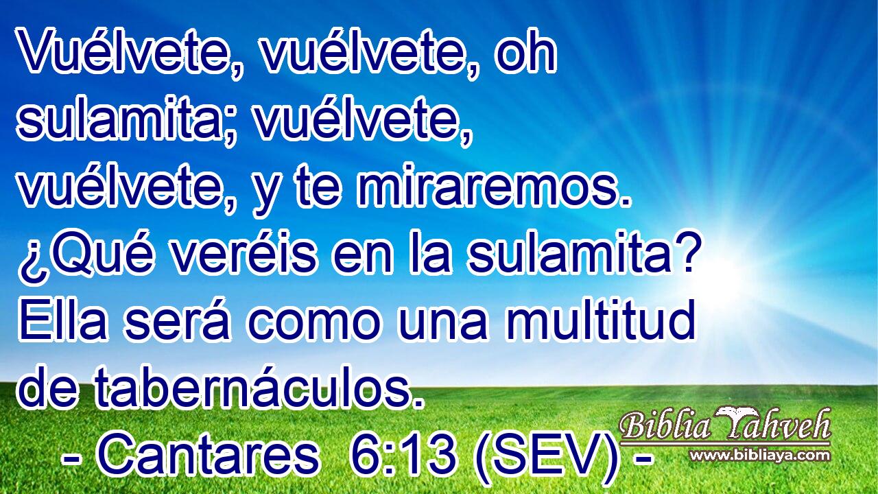 Vuélvete, vuélvete, oh sulamita; vuélvete, vuélvete, y te miraremos. ¿Qué veréis en la sulamita? Ella será como una multitud de tabernáculos.