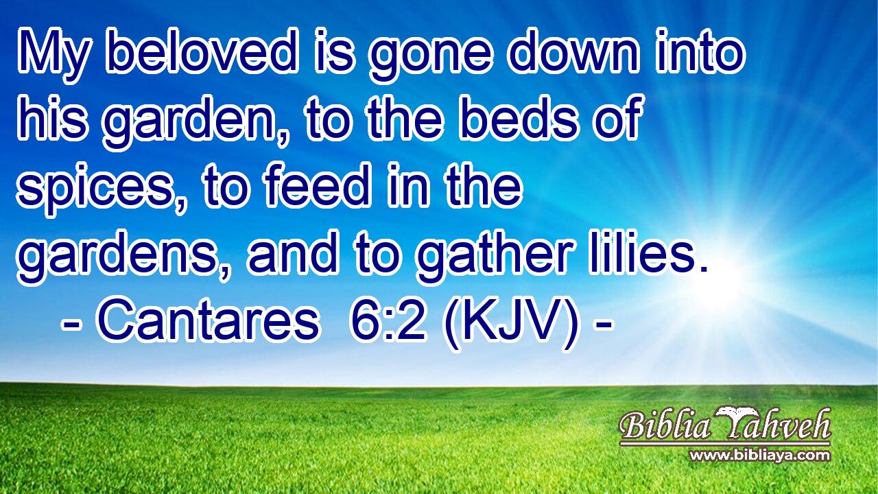 My beloved is gone down into his garden, to the beds of spices, to feed in the gardens, and to gather lilies.