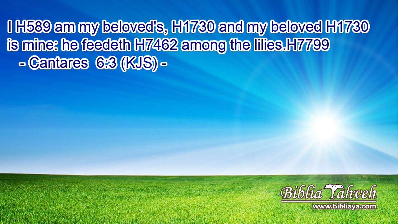 I H589 am my beloved's, H1730 and my beloved H1730 is mine: he feedeth H7462 among the lilies.H7799