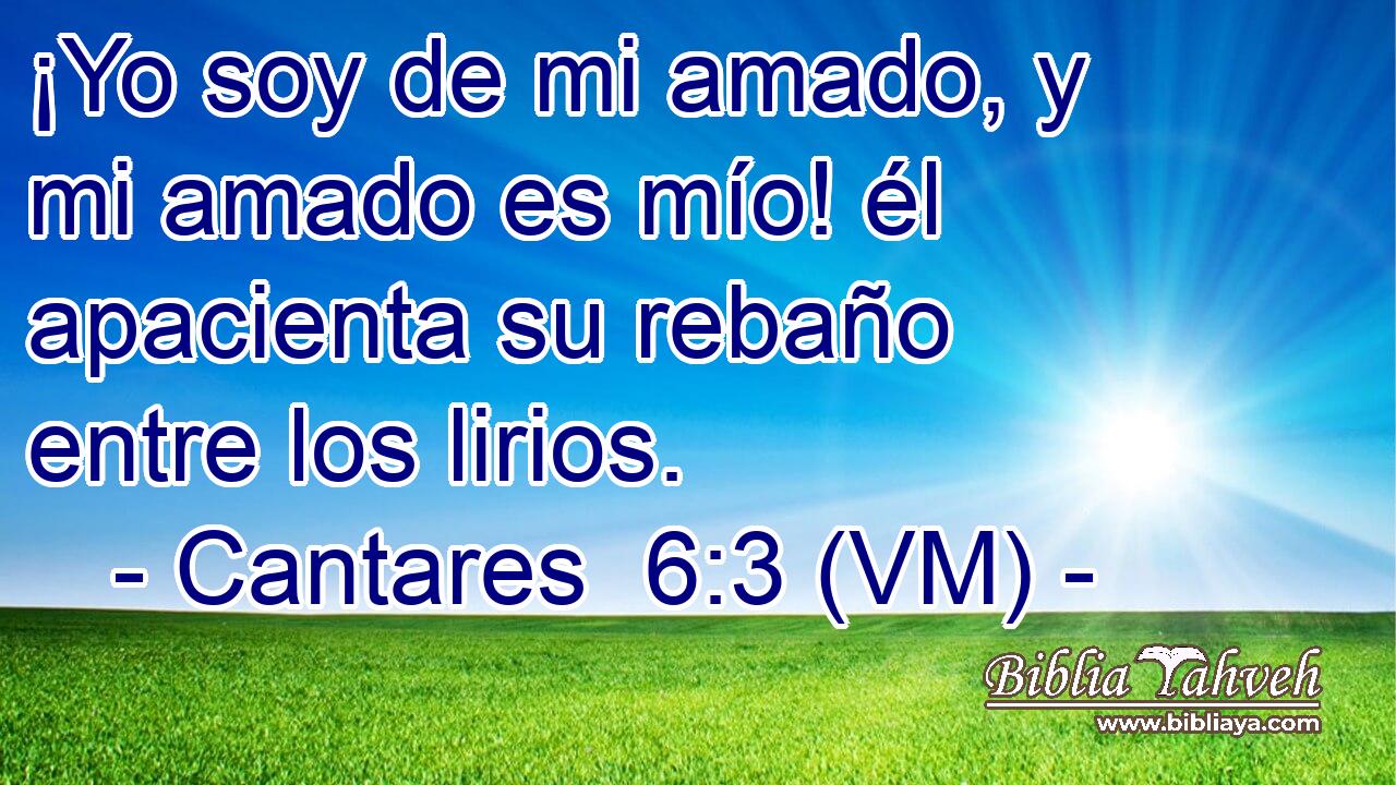  ¡Yo soy de mi amado, y mi amado es mío! él apacienta su rebaño entre los lirios. 