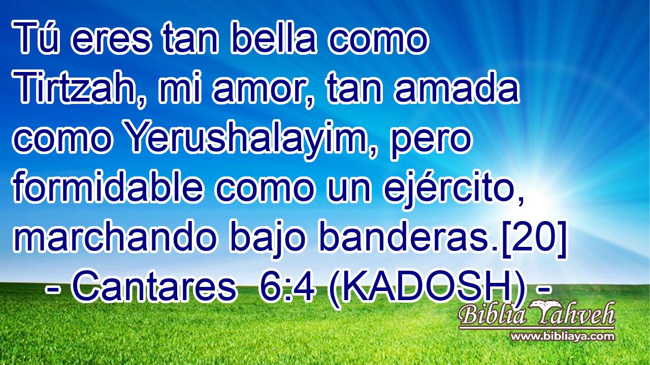  Tú eres tan bella como Tirtzah, mi amor, tan amada como Yerushalayim, pero formidable como un ejército, marchando bajo banderas.[20] 