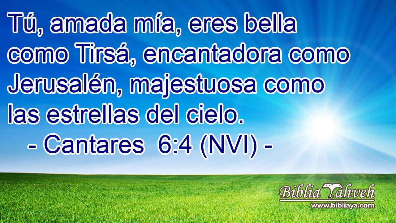  Tú, amada mía, eres bella como Tirsá, encantadora como Jerusalén, majestuosa como las estrellas del cielo. 