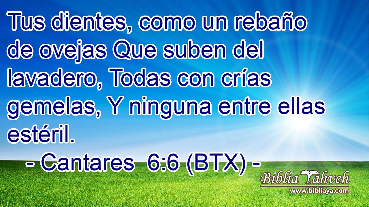 Tus dientes, como un rebaño de ovejas Que suben del lavadero, Todas con crías gemelas, Y ninguna entre ellas estéril.