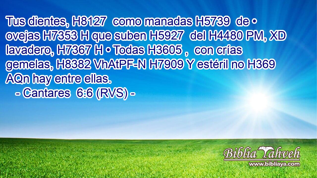 Tus dientes, H8127  como manadas H5739  de • ovejas H7353 H que suben H5927  del H4480 PM, XD lavadero, H7367 H • Todas H3605 ,  con crías gemelas, H8382 VhAtPF-N H7909 Y estéril no H369 AQn hay entre ellas. 